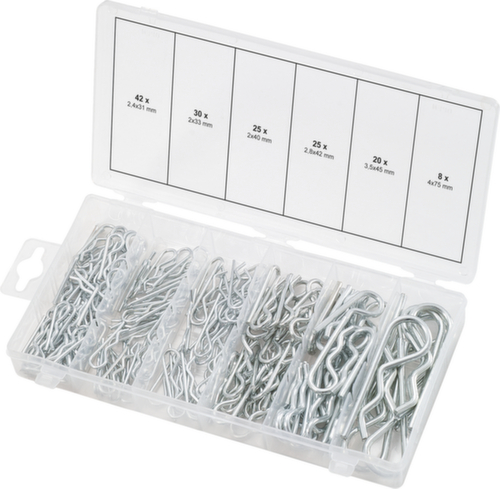 Assortimento di perni a molla