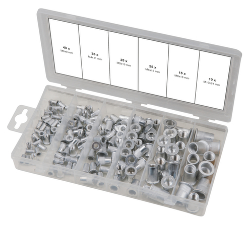 Assortimento di rivetti filettati