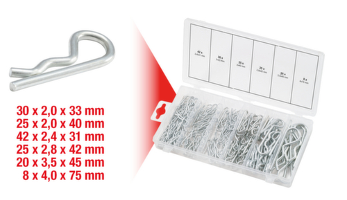 Assortimento di perni a molla