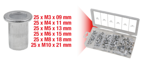 Assortimento di rivetti filettati