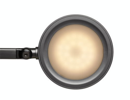MAUL lampada per scrivania LED MAULgrace colour vario con temperatura di colore regolabile, luce da bianco freddo a bianco caldo, argento