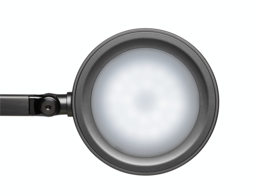 MAUL lampada per scrivania LED MAULgrace colour vario con temperatura di colore regolabile, luce da bianco freddo a bianco caldo, argento