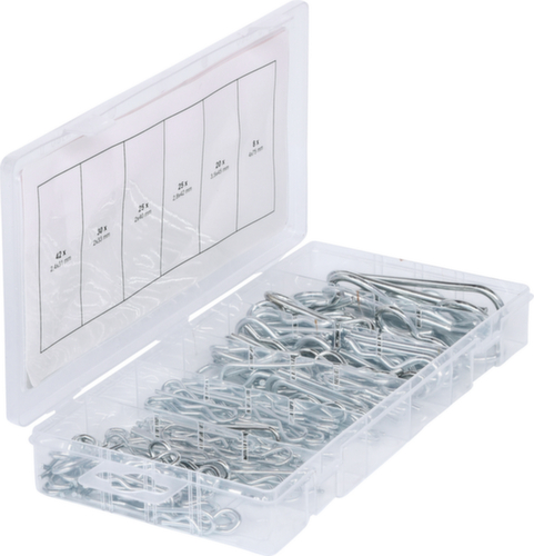 Assortimento di perni a molla