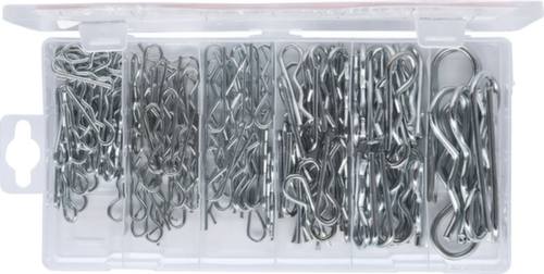 Assortimento di perni a molla
