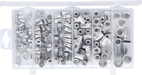 Assortimento di rivetti filettati