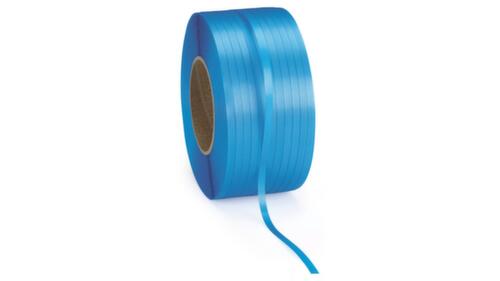 Reggia in PP blu