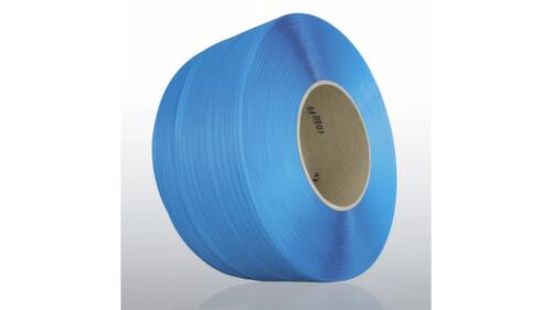 Reggia in PP blu