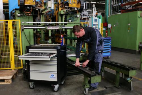 Thurmetall Carrello da officina Workman Workshop Trolley Pro con 6 cassetti, 6 cassetto(i)