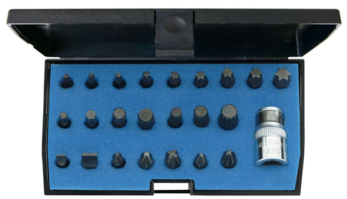 620-024 Set di punte per cacciavite da 1/4"