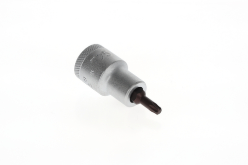 ITX 19 T25 Punta per cacciavite 1/2" TX T25