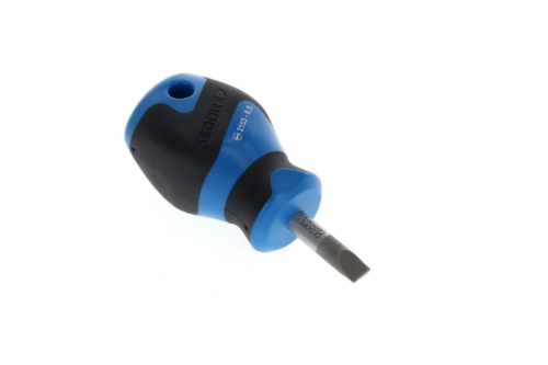 2153 6,5 Cacciavite