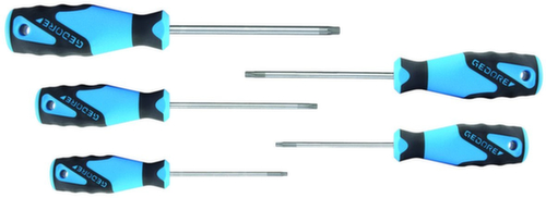 2163 TXB-05 Set di cacciaviti 3C 5-pc TX pin T10-T30