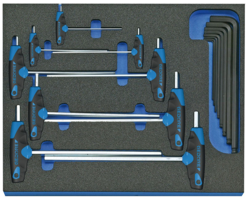 GEDORE 2005 CT2-DT 2142 Set di chiavi esagonali a L in modulo di controllo