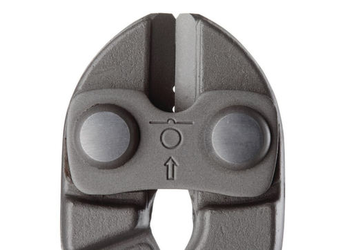 8340-200 TL Tronchesi da 200 mm con isolamento a immersione