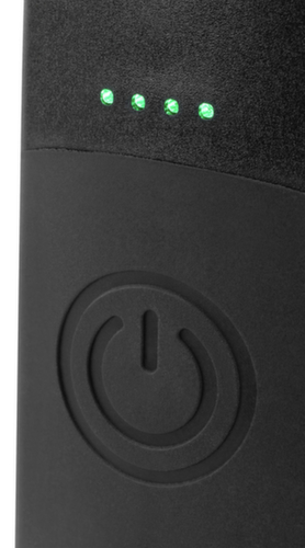 R95600320 Lampada di ispezione