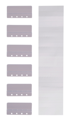 EICHNER linguetta a incastro Typ 3 con strisce di designazione, trasparente