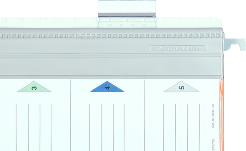 EICHNER linguetta a incastro Typ 3 con strisce di designazione, trasparente