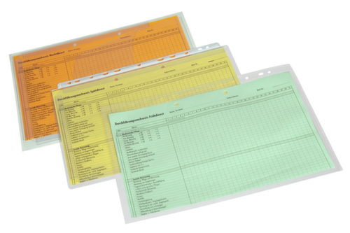 EICHNER Copertura visiva, trasparente, DIN A4