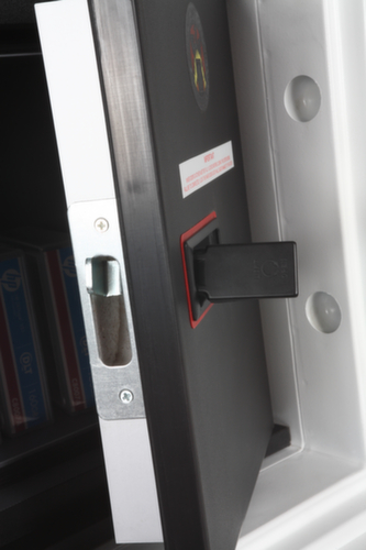 Phoenix Safe Armadio di protezione antincendio Datacare