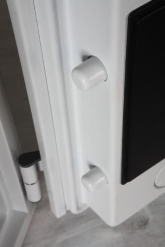 Phoenix Safe Armadio di protezione antincendio Datacare