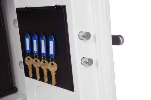 Phoenix Safe Armadio di protezione antincendio Datacare