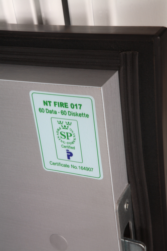 Phoenix Safe Armadio di protezione antincendio Datacare
