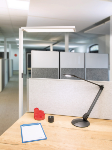MAUL Lampada da terra per postazione di lavoro a LED MAULsenja