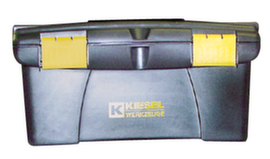 Cassetta degli attrezzi con inserto per minuteria