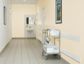 Moravia Protezione antischegge MORION