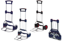 RuXXac Carrello portasacchi pieghevole con capacità di carico di 125 kg