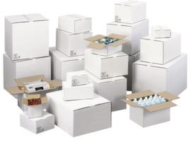 Scatola pieghevole in cartone ondulato bianco con capacità di carico di 20 kg