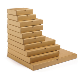 Cartone di spedizione piatto