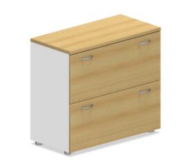 Cartella Quadrifoglio sospesa Practika