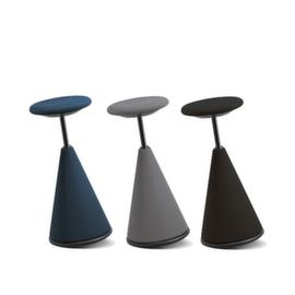 Giroflex Sgabello dinamico 10