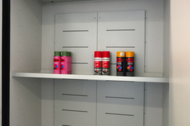 Lacont Ripiano storeLAB per armadio di sicurezza