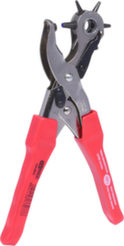 Pinza a punzone rotante