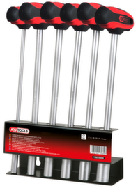 Set di cacciaviti a T