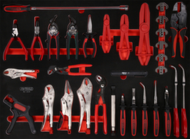 Set di pinze con inserto in schiuma