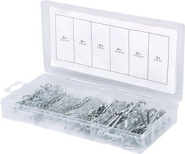 Assortimento di perni a molla