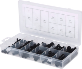 Assortimento di viti ad esagono cavo