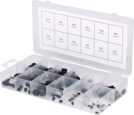 Assortimento di viti senza testa