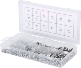 Assortimento di viti a testa cilindrica