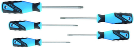 2163 TXB-05 Set di cacciaviti 3C 5-pc TX pin T10-T30