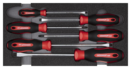 R22150014 Set di cacciaviti PZ+SL 2/6 modulo CT 6 pezzi