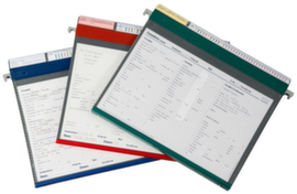 BOI Cartella di cura