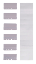 EICHNER linguetta a incastro Typ 3 con strisce di designazione, trasparente