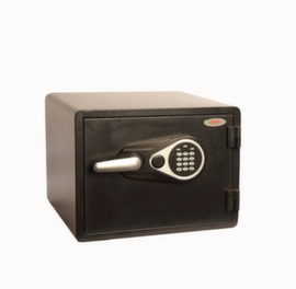 Phoenix Safe Cassaforte antincendio Titan Aqua